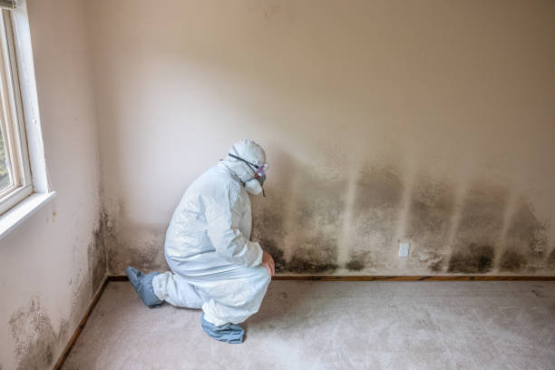 Best Emergency Mold Remediation  in La Cygne, KS